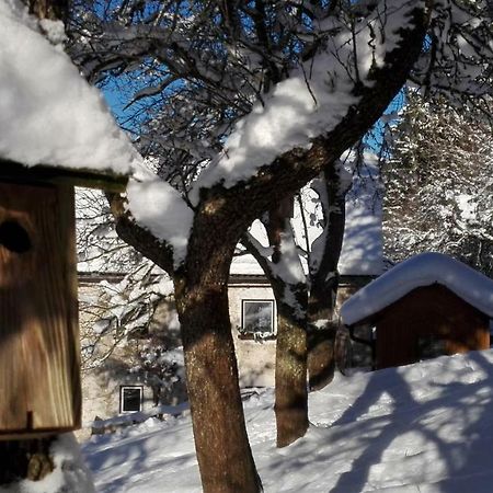 Ferienhaus Hirschnest Sankt Pankraz 외부 사진