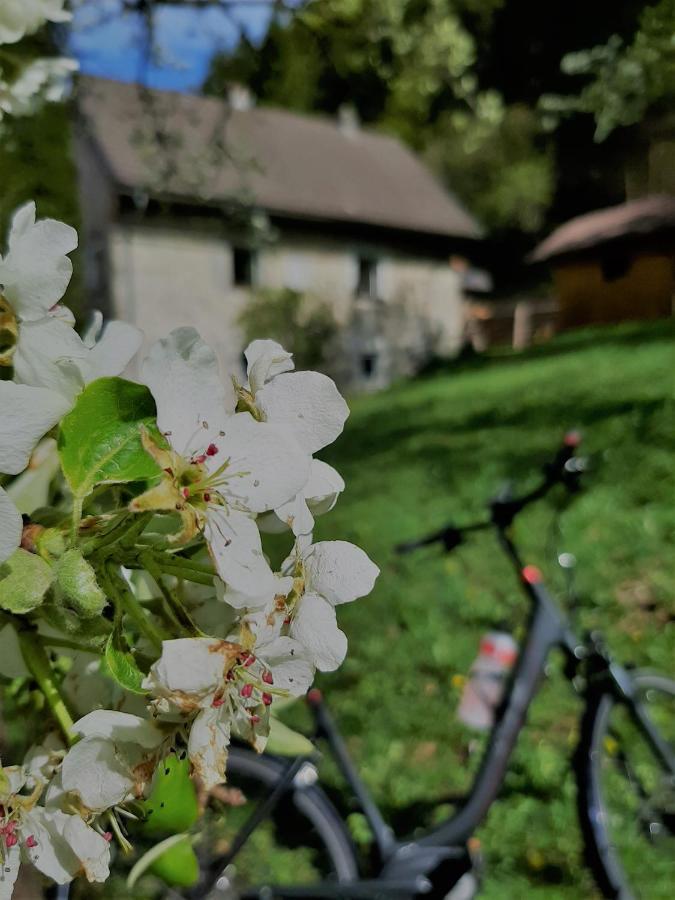 Ferienhaus Hirschnest Sankt Pankraz 외부 사진