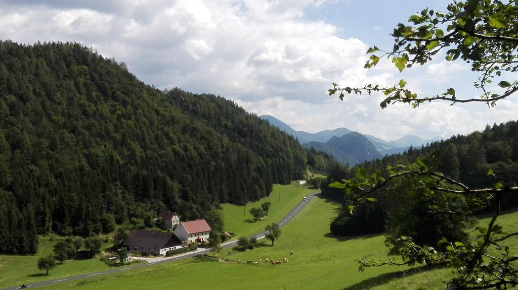Ferienhaus Hirschnest Sankt Pankraz 외부 사진