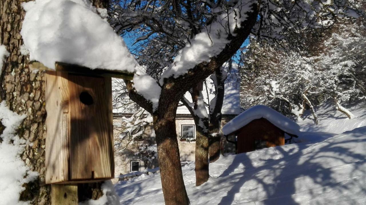 Ferienhaus Hirschnest Sankt Pankraz 외부 사진